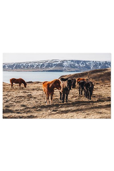 StoryGift Romania Tablou Canvas: Calatorie Printre Munti Si Fiorduri In Islanda - Descoperirea Frumusetii Natural