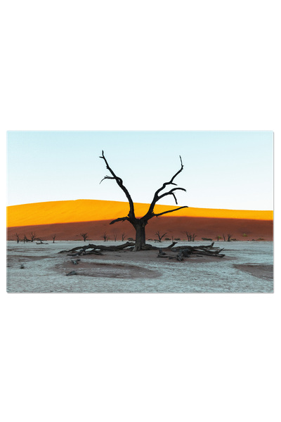 StoryGift Romania Tablou Canvas: Ariditatea Desertului Namib - Deadvlei, Afri...