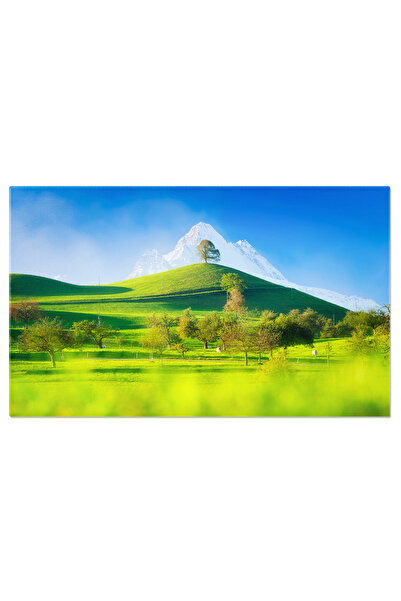 StoryGift Romania Tablou Canvas Tunel De Arbori, Fundal, Bambus, Natura, Peis...