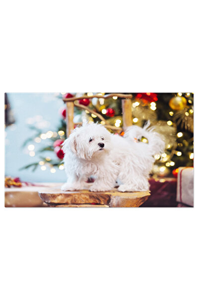 StoryGift Romania Tablou Canvas Terrier Alb Mic Pe Fundalul Pomului De Craciu...