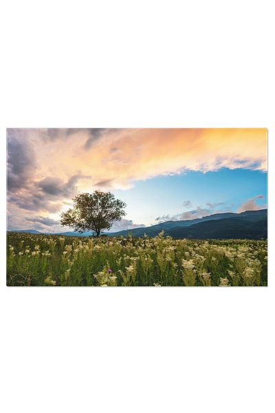 StoryGift Romania Tablou Canvas - Peisaj Cu Soarece Apunand: Serenitate Si Eleganta