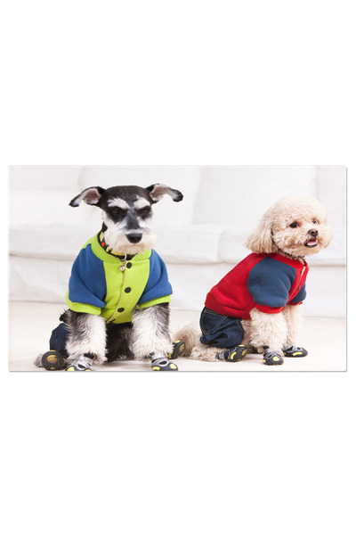 StoryGift Romania Tablou Canvas Caini De Companie Caine, Animale De Companie,...