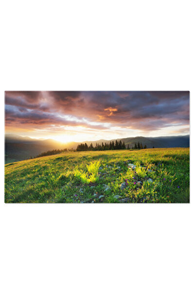 StoryGift Romania Tablou Canvas Peisaj De Vara, Munte, Natura, Peisaj, Vara, ...