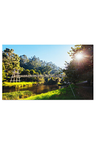 StoryGift Romania Tablou Canvas Podul Oscilant Din Warburton, Warburton, Aust...