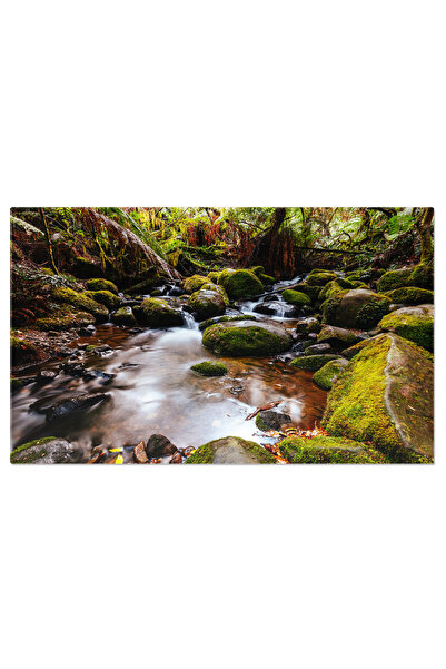 StoryGift Romania Tablou Canvas Peisaj Pluvial In Padurea Warburton, Victoria...