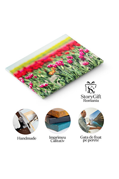 StoryGift Romania Tablou Canvas Camp De Lalele In Bloom, Primavara, Peisaj, Flori, Natura, Cultura, Agricultura 4