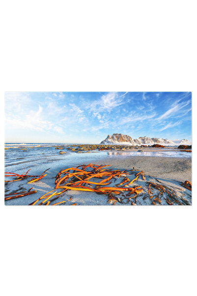 StoryGift Romania Tablou Canvas View Iarna Incitanta Pe Plaja Uttakleiv Dimin...