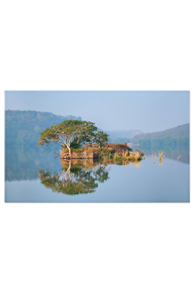 StoryGift Romania Tablou Canvas - Ranthambore: Padurea Mistica Si Crocodilii Care Isi Admira Reflectia In Lac