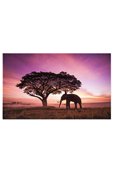 StoryGift Romania Tablou Canvas Elefant La Rasarit In Thailanda Agricultura, ...