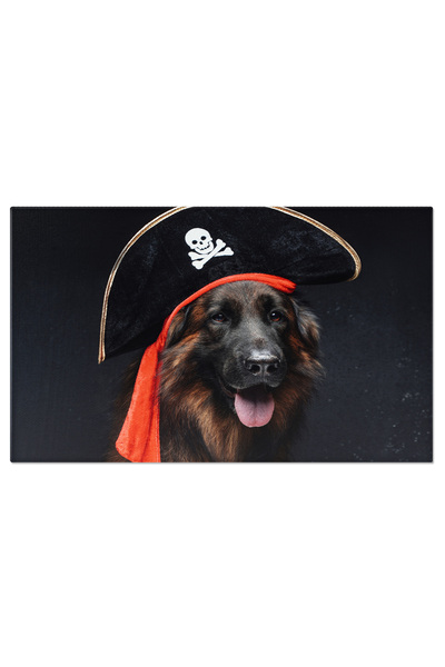 StoryGift Romania Tablou Canvas: Belgian Tervuren - Pazitor Loyal In Palarie De Corsar