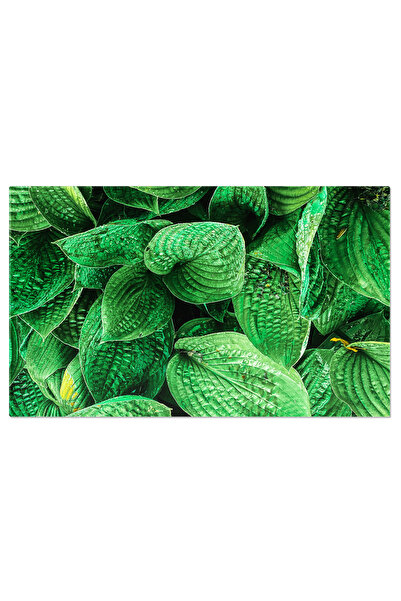 StoryGift Romania Tablou Canvas Steagul Statelor Unite Ale Americii Rosu, Alb...