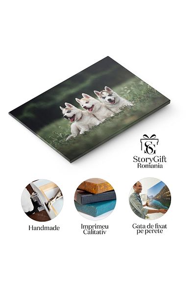 StoryGift Romania Tablou Canvas Pui De Husky, Caine, Pui, Husky, Animal 2430