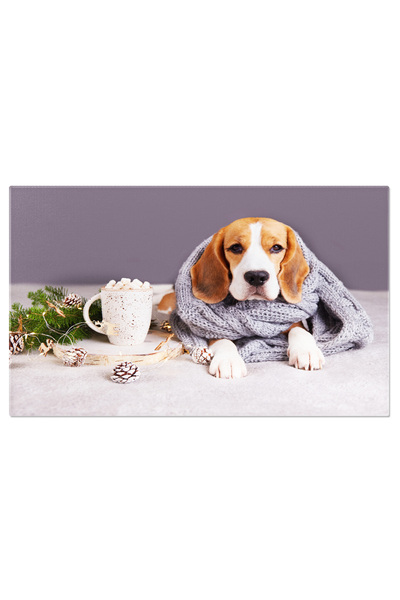 StoryGift Romania Tablou Canvas Caine Beagle In Fular Gri, Intins Pe Spate, I...