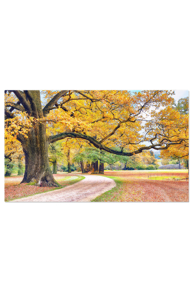 StoryGift Romania Tablou Canvas Peisaj Uimitor De Toamna Cu Batrani Stejari I...
