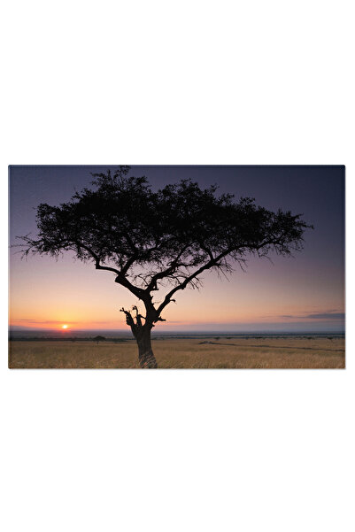 StoryGift Romania Tablou Canvas: Apus De Soare Pe Savana Kenyana - Peisaj Afr...