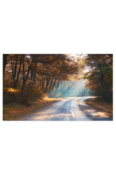 StoryGift Romania Tablou Canvas: Raze De Soare In Peisajul Incetosat - Dimine...