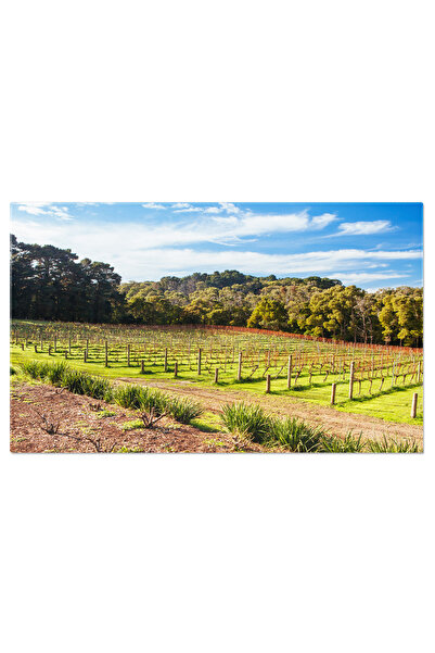 StoryGift Romania Tablou Canvas Vie Adormita In Timpul Iernii In Australia Ag...