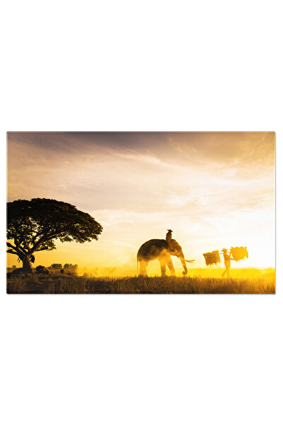 StoryGift Romania Tablou Canvas Elefant In Campie La Rasarit Agricultura, Ani...