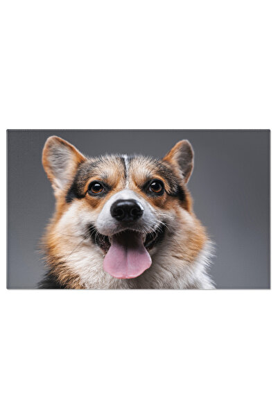 StoryGift Romania Tablou Canvas - Corgi Jucaus In Studio, Pe Un Fundal Cu Accente De Gri Si Alb