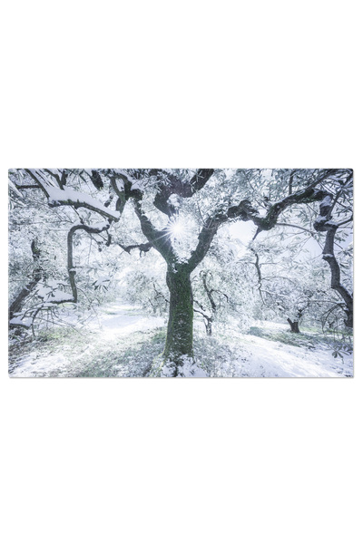 StoryGift Romania Tablou Canvas Zapada In Toscana, Livezi De Maslini: Toscana...