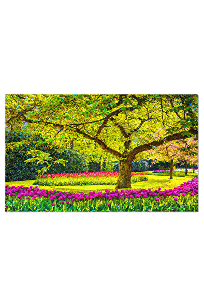 StoryGift Romania Tablou Canvas Arbore Si Flori De Lalele In Gradina De Prima...