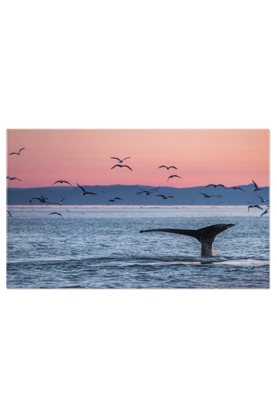 StoryGift Romania Tablou Canvas: Dansul Gratiei Subacvatice - Balena Megapter...