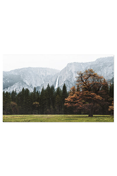 StoryGift Romania Tablou Canvas: Padure De Toamna In Parcul National Yosemite