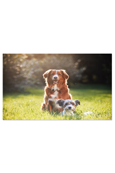 StoryGift Romania Tablou Canvas Doi Prieteni Caini Stand Pe Pajiste, Caine, P...