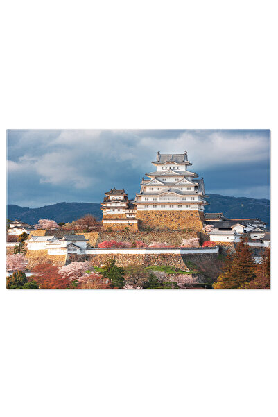 StoryGift Romania Tablou Canvas - Castel Japonez In Timpul Primaverii: Archit...