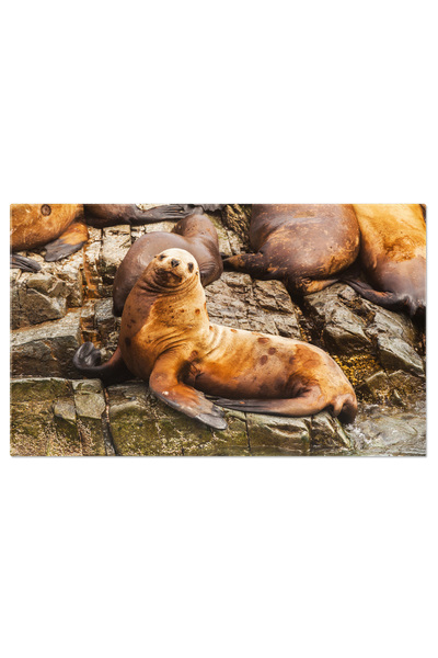 StoryGift Romania Tablou Canvas: Mojito Racoros - Bautura Cu Fructe De Vara