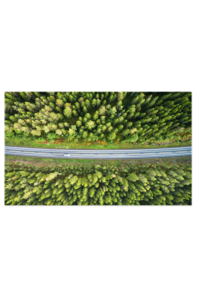 StoryGift Romania Tablou Canvas Masina Merge Pe Drum De Tara In Padurea De Co...