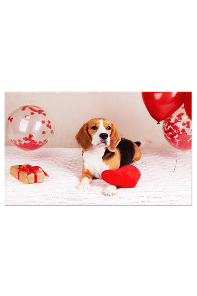 StoryGift Romania Tablou Canvas Caine Beagle Pe Pat Si Un Inimioara Rosie, Dr...