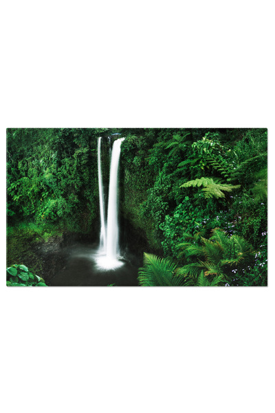 StoryGift Romania Tablou Canvas: Puterea Apei In Cascada Naturii, In Mijlocul Padurii Tropicale, Invaluind Prospe