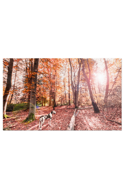 StoryGift Romania Tablou Canvas Persoana Luand Un Instrument De Pe O Masa Cu ...