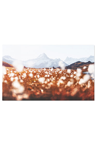 StoryGift Romania Tablou Canvas Lac Bachalpsee In Grindelwald, Elvetia: Linis...