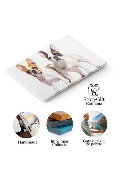 StoryGift Romania Tablou Canvas - French Bulldog: Caine De Rasa In Toata Splendoarea Sa