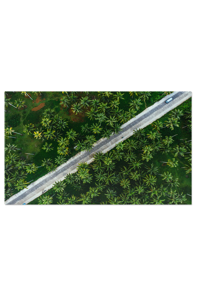 StoryGift Romania Tablou Canvas Paradis Tropical Din Filipine, Deasupra, Cala...