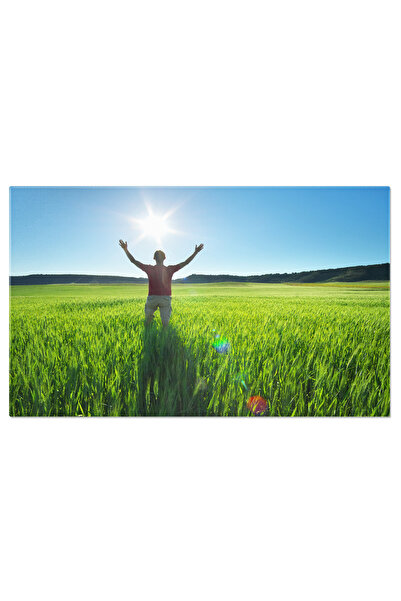 StoryGift Romania Tablou Canvas Om In Lunca Verde Si Lumina Soarelui, Persoana, Fermier, Concept, Natura, Liberta