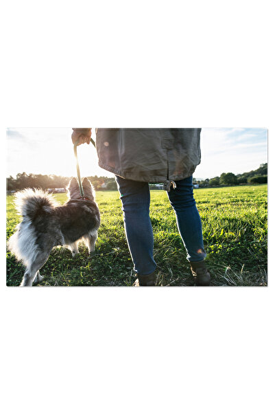 StoryGift Romania Tablou Canvas: Prietenie Cu Animalele - Bucurie Si Companie