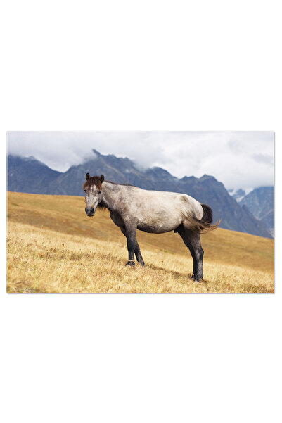 StoryGift Romania Tablou Canvas Cu Animal Pe Munte - Natura, Cald, Echitatie