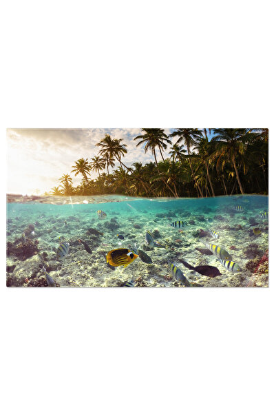 StoryGift Romania Tablou Canvas - Snorkeling In Paradisul Tropical: Viata Mar...