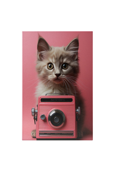 StoryGift Romania Tablou Canvas: Pisica Cu Casetofoncutie, Camera Digitala, Dispozitiv Electronic, Blana, Gadget
