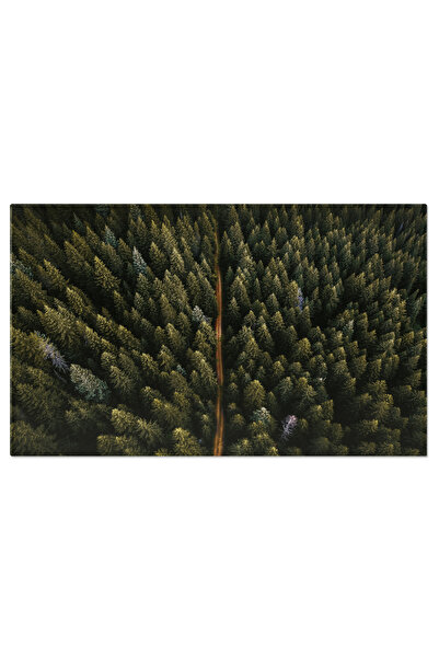 StoryGift Romania Tablou Canvas: Peisaj De Toamna - Padure Inecata In Culoare