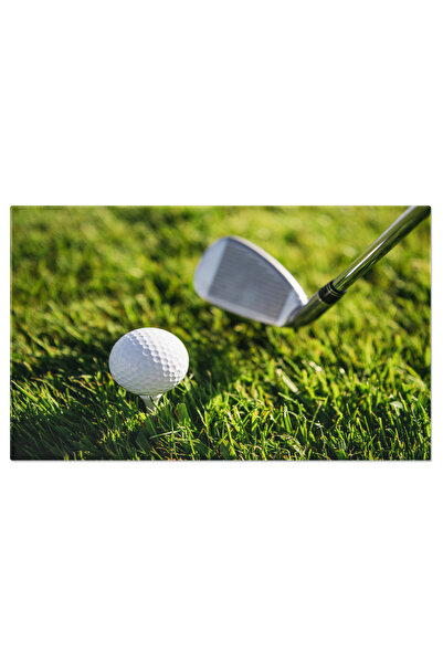 StoryGift Romania Tablou Canvas: Sport Si Relaxare Pe Iarba - Mingea, Echipam...