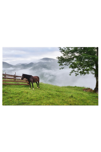StoryGift Romania Tablou Canvas - Cal In Dimineata Cu Ceta, Peisaje Din Carpa...