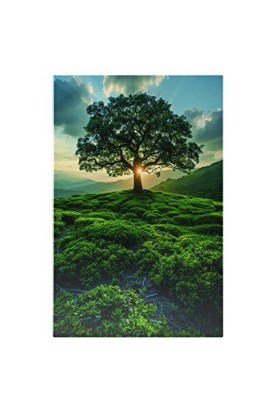 StoryGift Romania Tablou Canvas Un Deal Cu Vegetatie Multa Si Un Copac Frumos Cu Cerul Senin Albastru Si Nori Pu