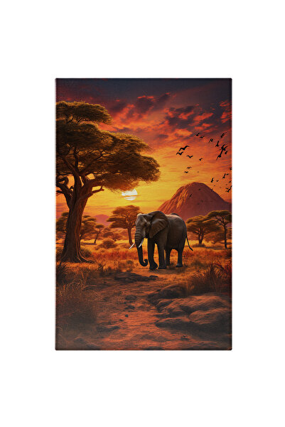 StoryGift Romania Tablou Canvas: Elefant În Savană La Apus- Animale Sălbatice...