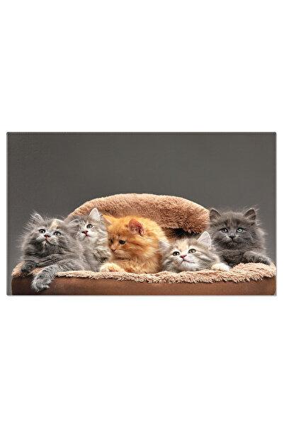 StoryGift Romania Tablou Canvas Pisici Adorabile La Odihna - Prietenie Si Con...