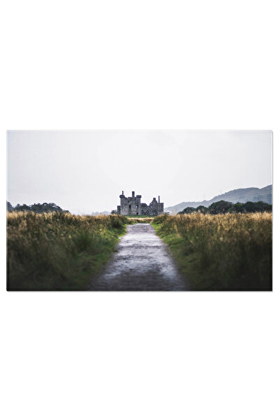 StoryGift Romania Tablou Canvas - Castel In Ceata Cu Atmosfera Misterioasa, O...