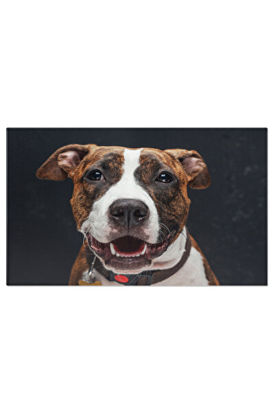 StoryGift Romania Tablou Canvas - Staffordshire Terrier In Lumina Studio, Cu ...